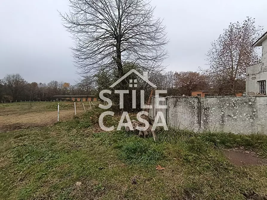 Immagine 9 di Azienda agricola in vendita  a Castelfranco Di Sotto