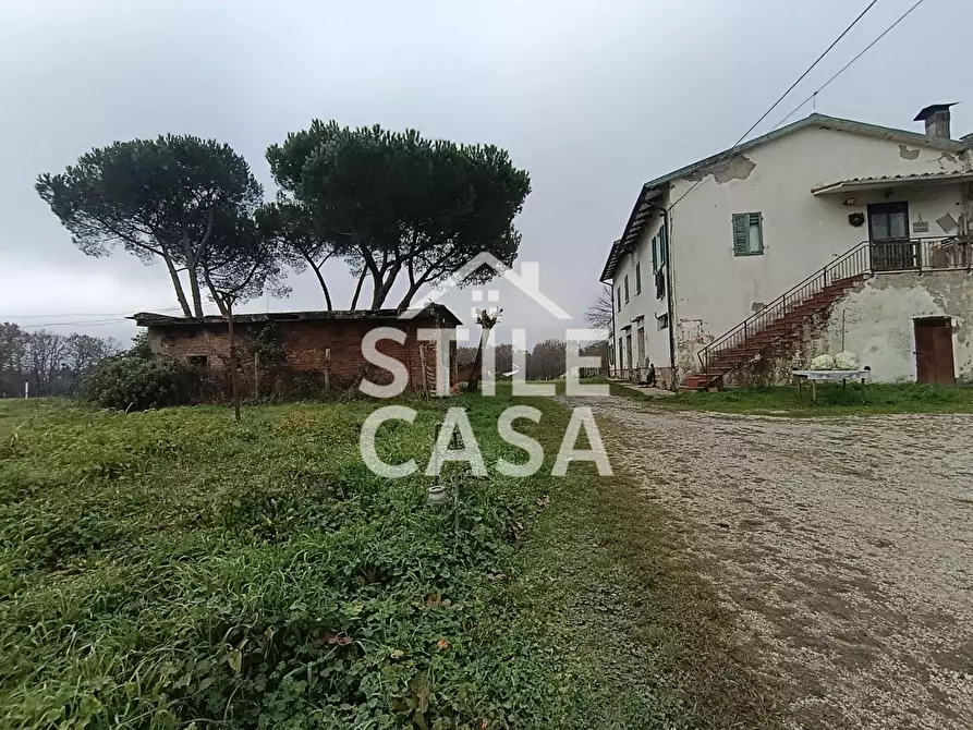 Immagine 24 di Azienda agricola in vendita  a Castelfranco Di Sotto