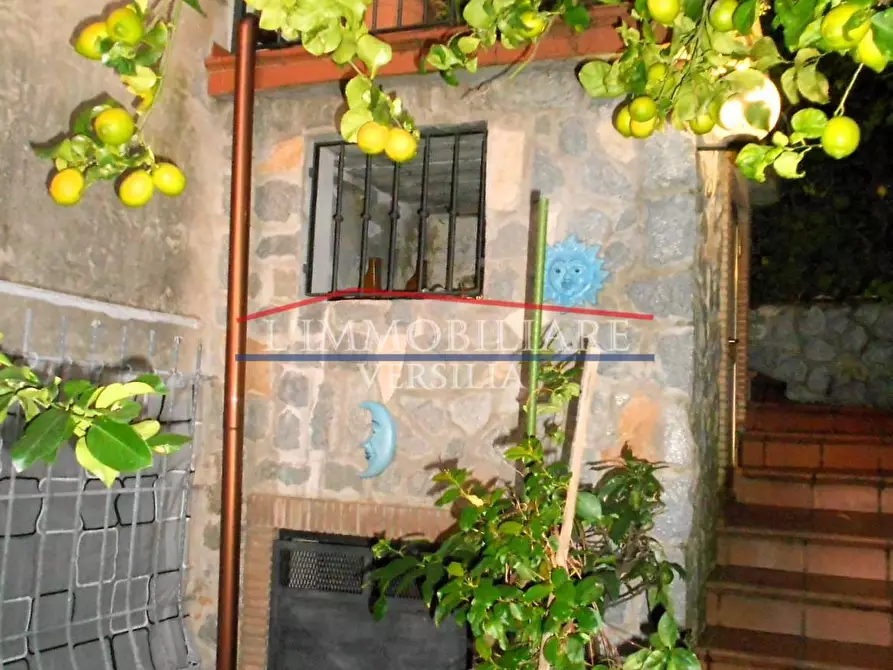 Immagine 38 di Casa bifamiliare in vendita  a Massa