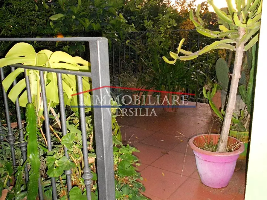 Immagine 8 di Casa bifamiliare in vendita  a Massa