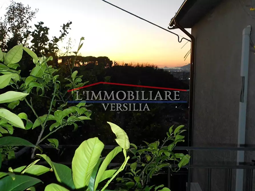 Immagine 36 di Casa bifamiliare in vendita  a Massa