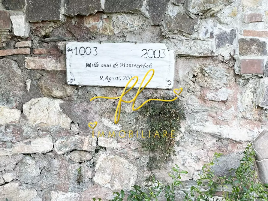 Immagine 37 di Terratetto in vendita  a Pomarance