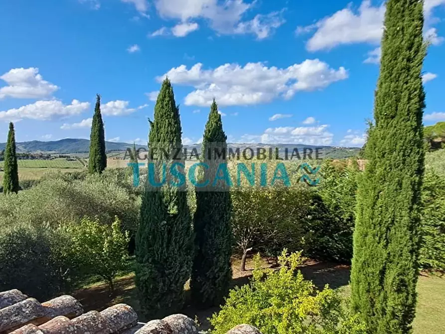 Immagine 28 di Casa colonica in vendita  a Volterra