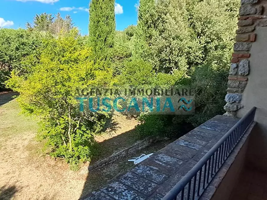 Immagine 21 di Casa colonica in vendita  a Volterra