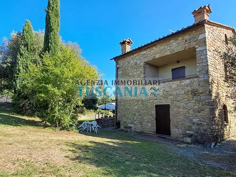 Immagine 4 di Casa colonica in vendita  a Volterra