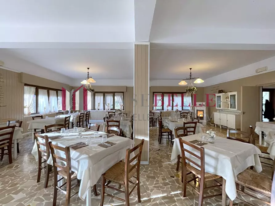 Immagine 21 di Albergo/B&B/Residence in vendita  a Stazzema
