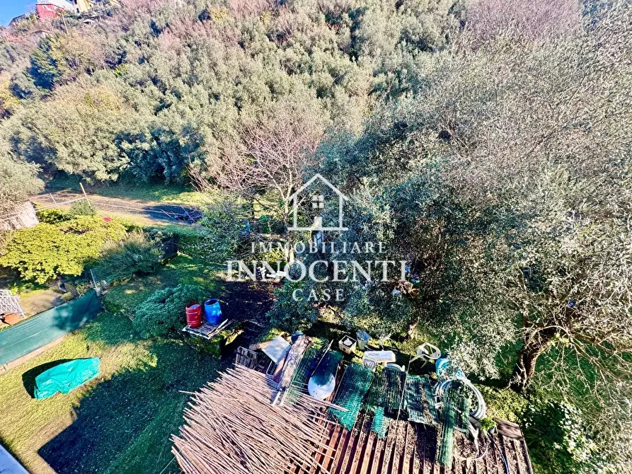 Immagine 31 di Appartamento in vendita  a Massa