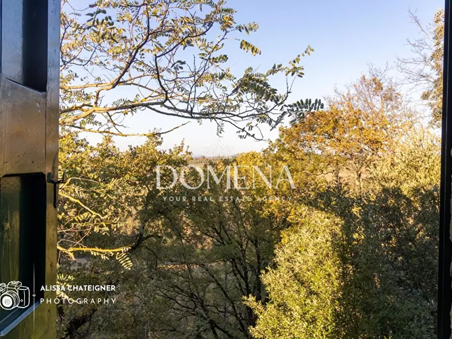 Immagine 46 di Casa colonica in vendita  a San Gimignano