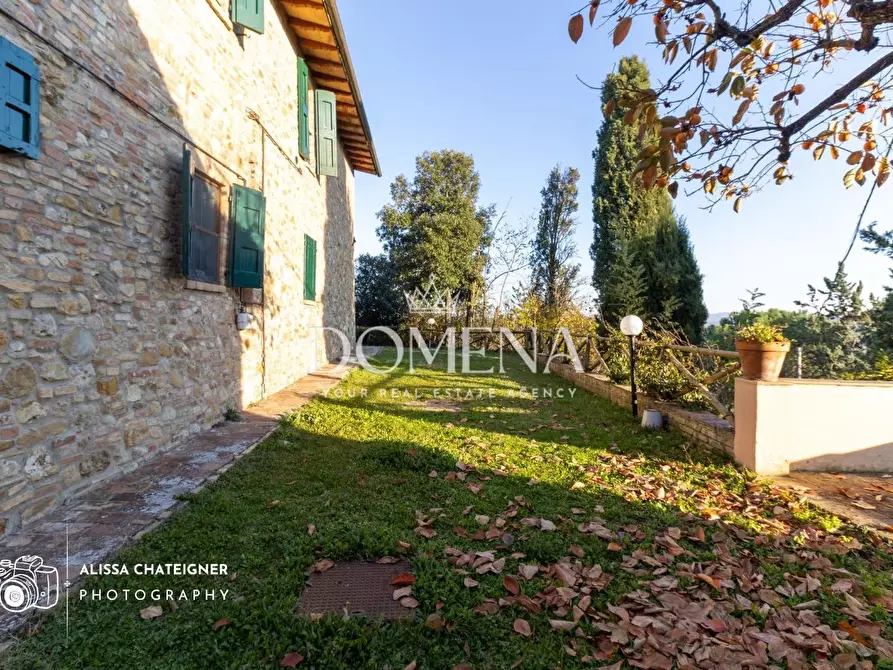 Immagine 10 di Casa colonica in vendita  a San Gimignano