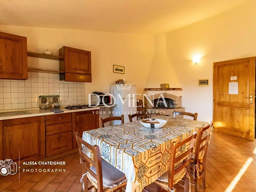 Immagine 34 di Casa colonica in vendita  a San Gimignano