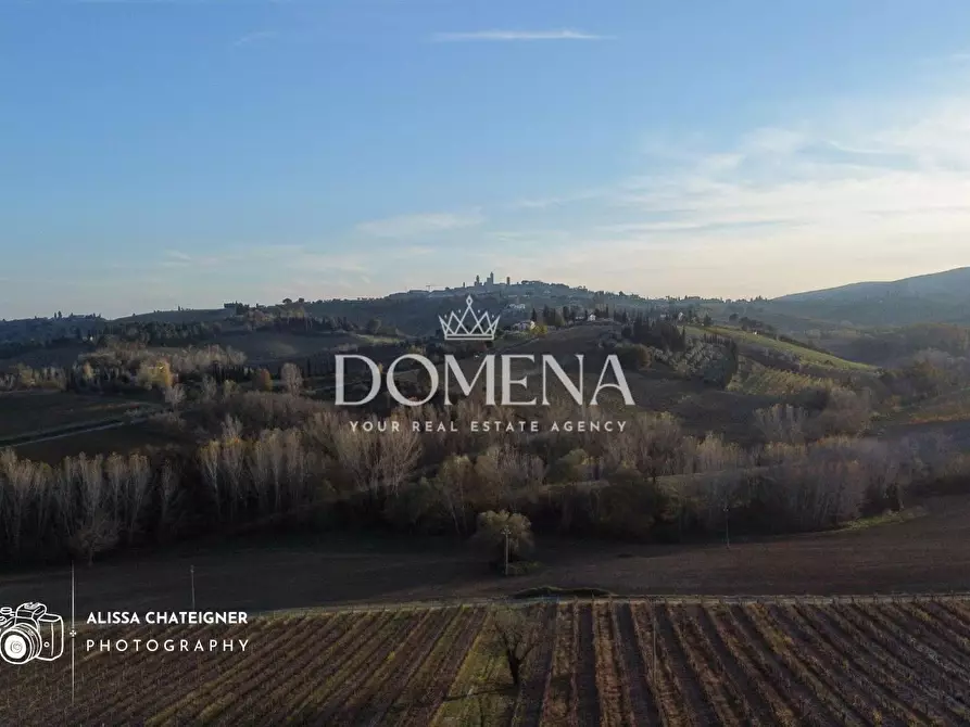 Immagine 2 di Casa colonica in vendita  a San Gimignano