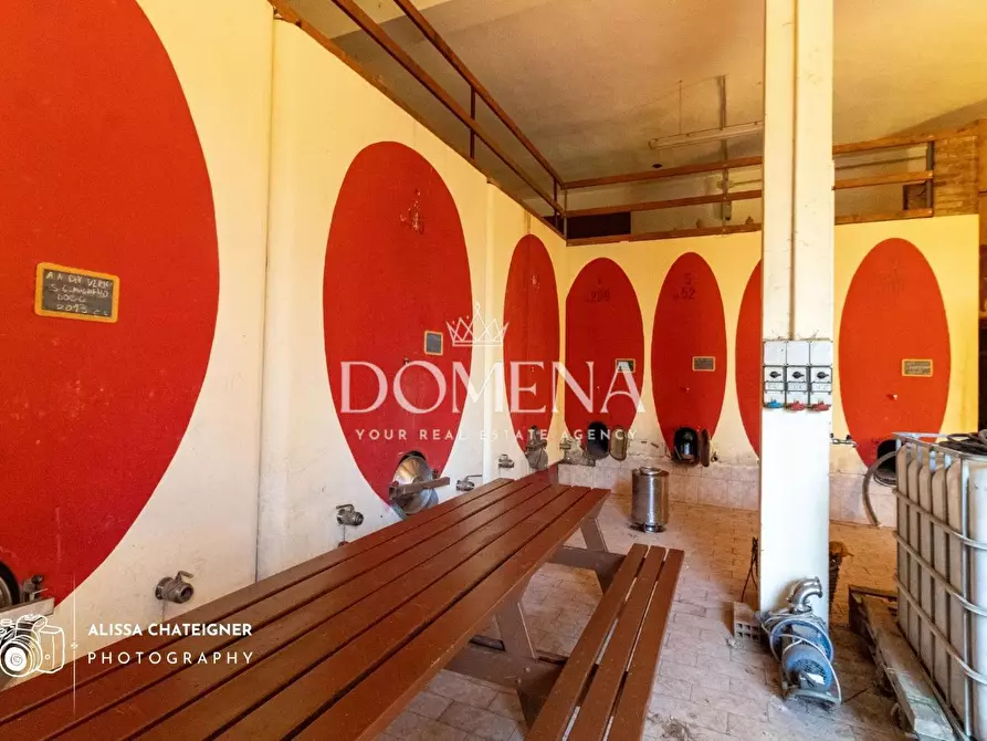 Immagine 13 di Casa colonica in vendita  a San Gimignano