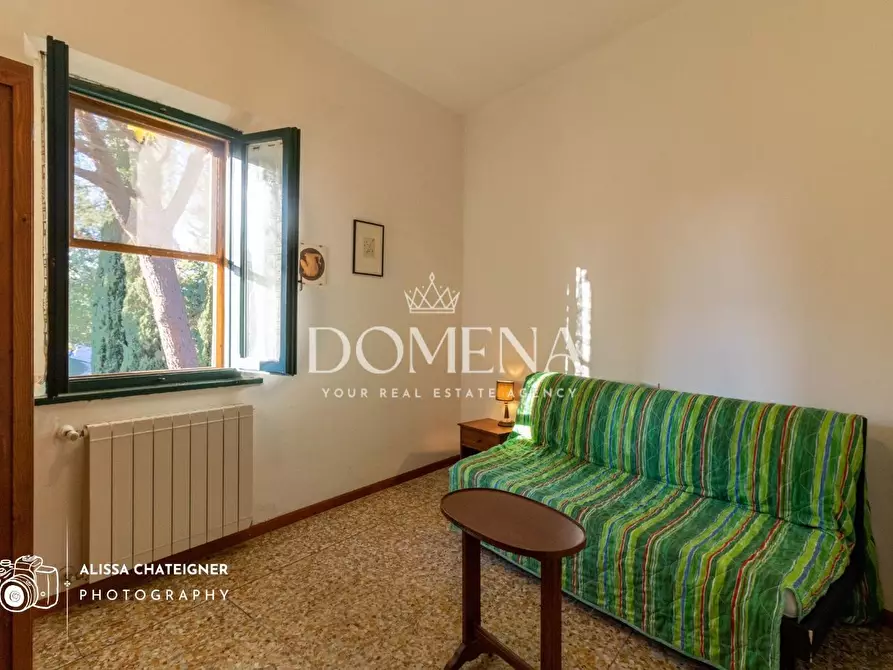 Immagine 30 di Casa colonica in vendita  a San Gimignano