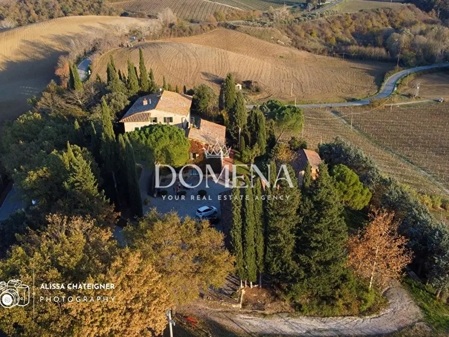 Immagine 4 di Casa colonica in vendita  a San Gimignano