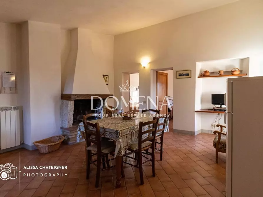 Immagine 44 di Casa colonica in vendita  a San Gimignano