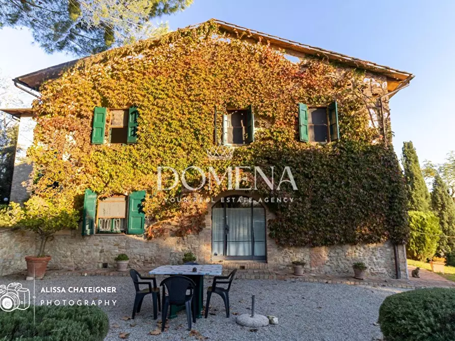 Immagine 6 di Casa colonica in vendita  a San Gimignano