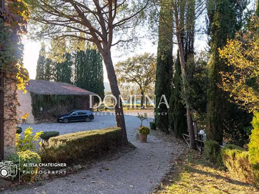 Immagine 11 di Casa colonica in vendita  a San Gimignano