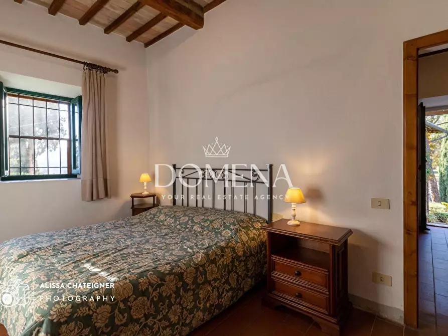 Immagine 22 di Casa colonica in vendita  a San Gimignano