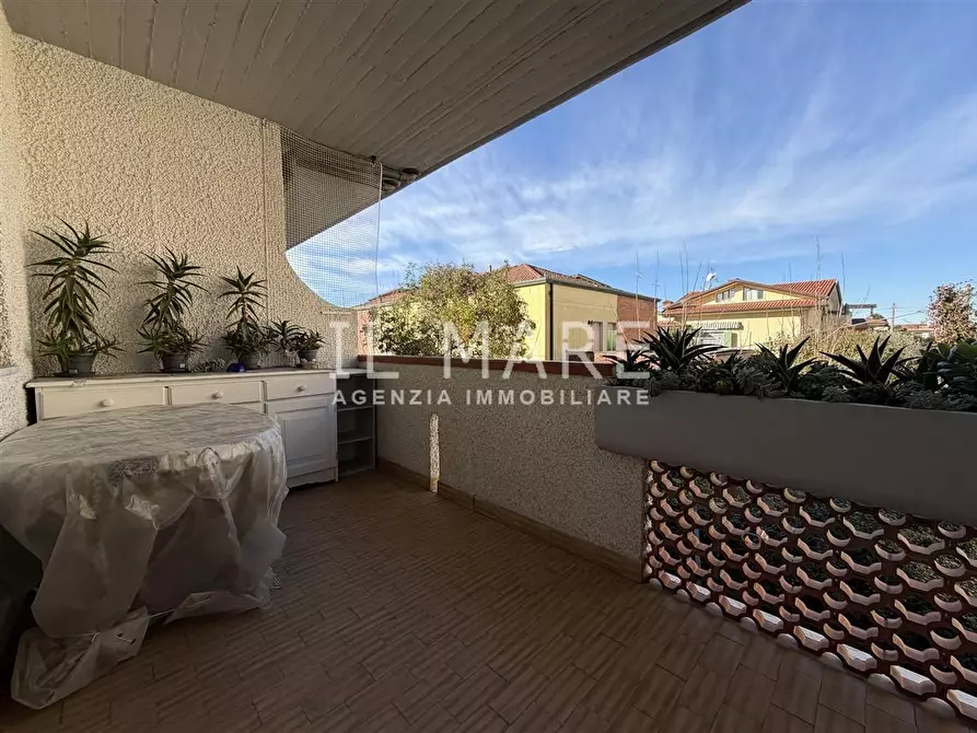 Immagine 1 di Appartamento in vendita  a Massa