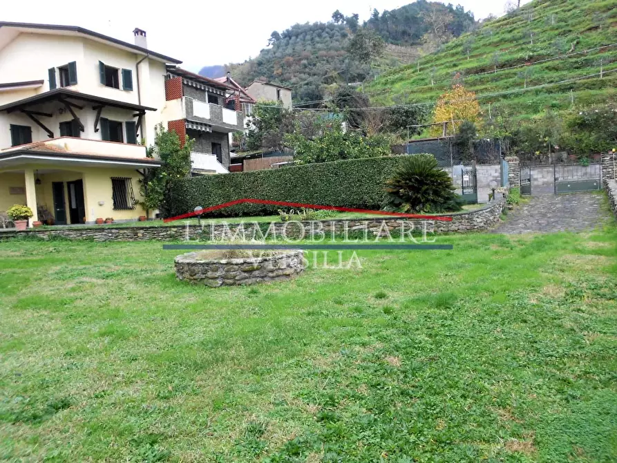 Immagine 6 di Terratetto in vendita  a Montignoso