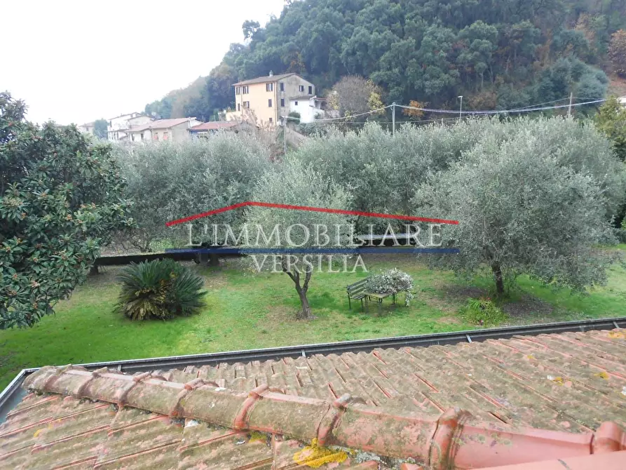 Immagine 34 di Terratetto in vendita  a Montignoso