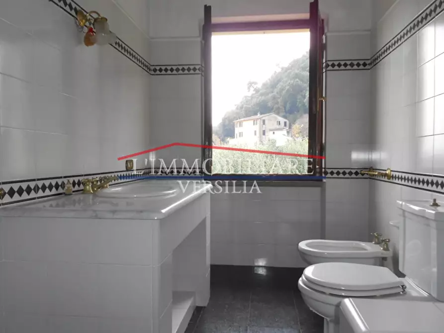 Immagine 65 di Terratetto in vendita  a Montignoso