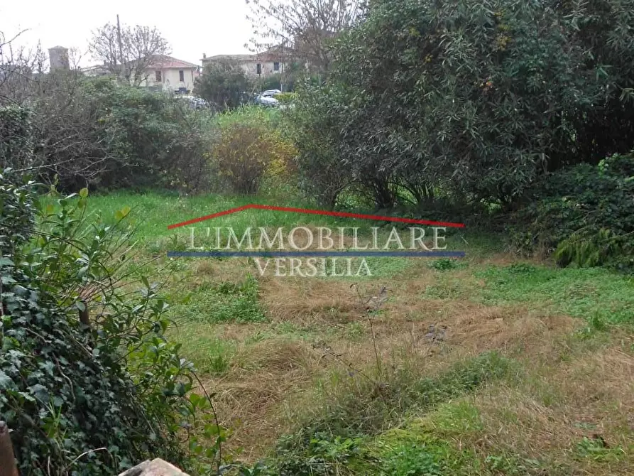 Immagine 47 di Terratetto in vendita  a Montignoso