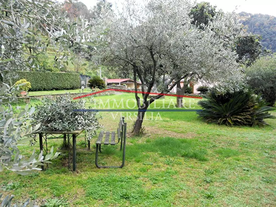 Immagine 49 di Terratetto in vendita  a Montignoso