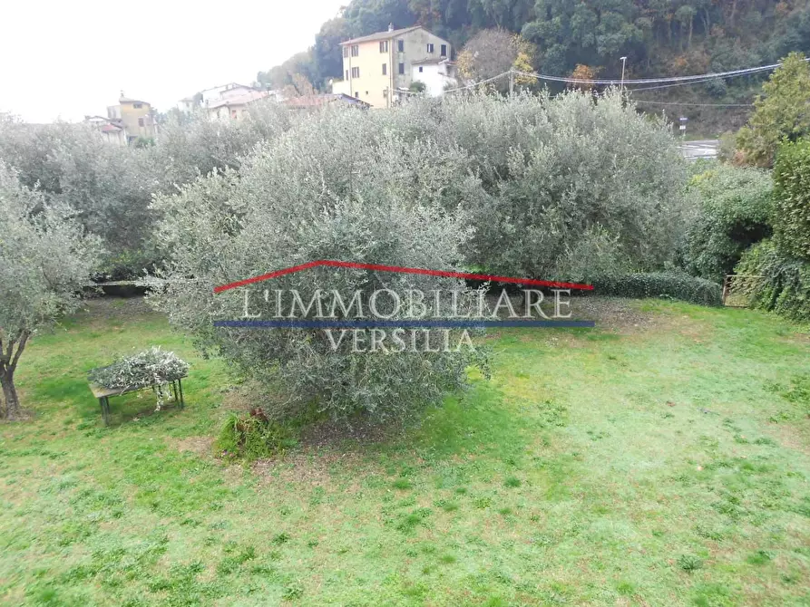 Immagine 66 di Terratetto in vendita  a Montignoso