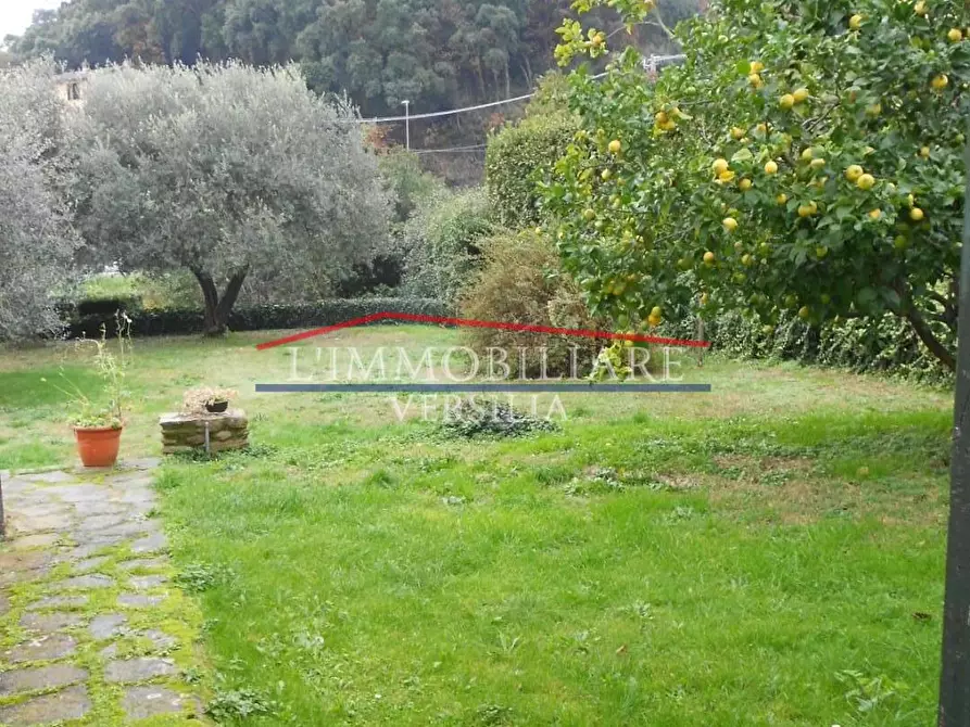 Immagine 44 di Terratetto in vendita  a Montignoso