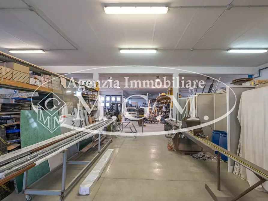 Immagine 23 di Attività artigianale in vendita  a Bientina