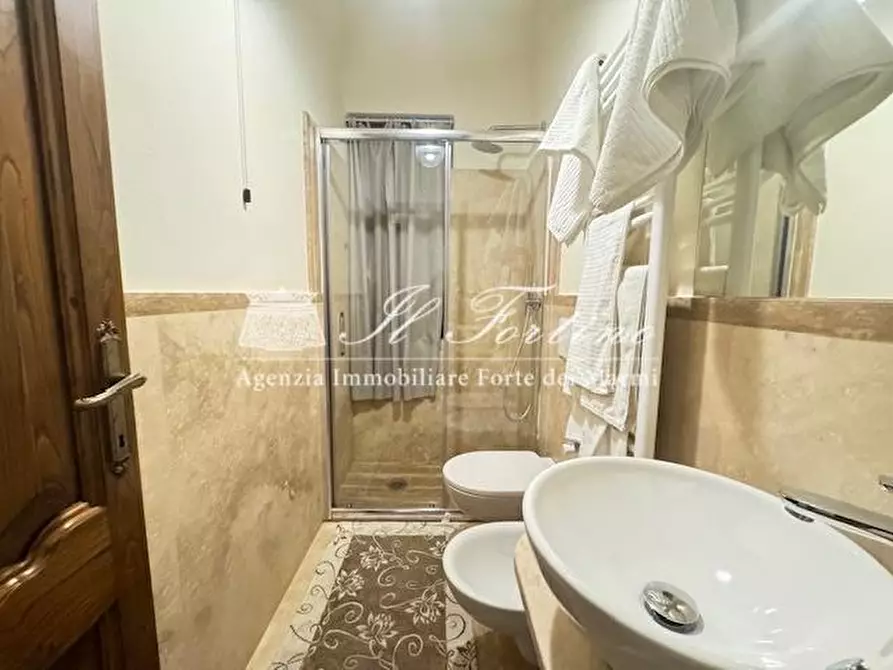 Immagine 18 di Villa in vendita  a Forte Dei Marmi