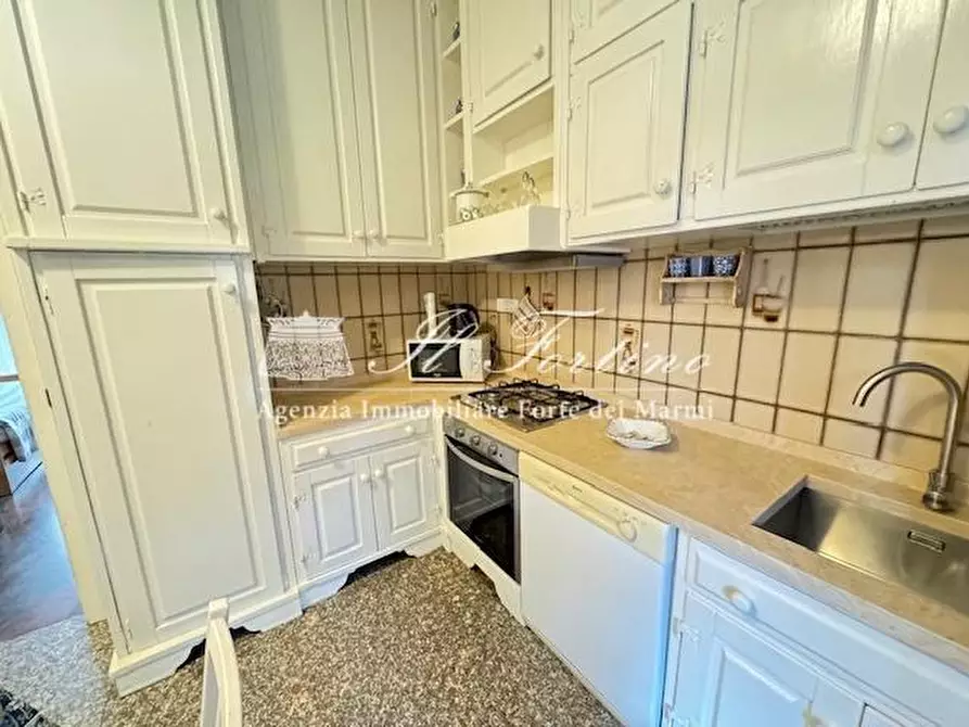 Immagine 11 di Villa in vendita  a Forte Dei Marmi