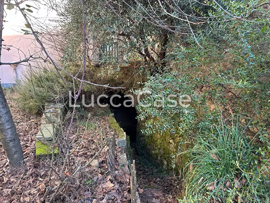 Immagine 21 di Porzione di casa in vendita  a Villa Basilica