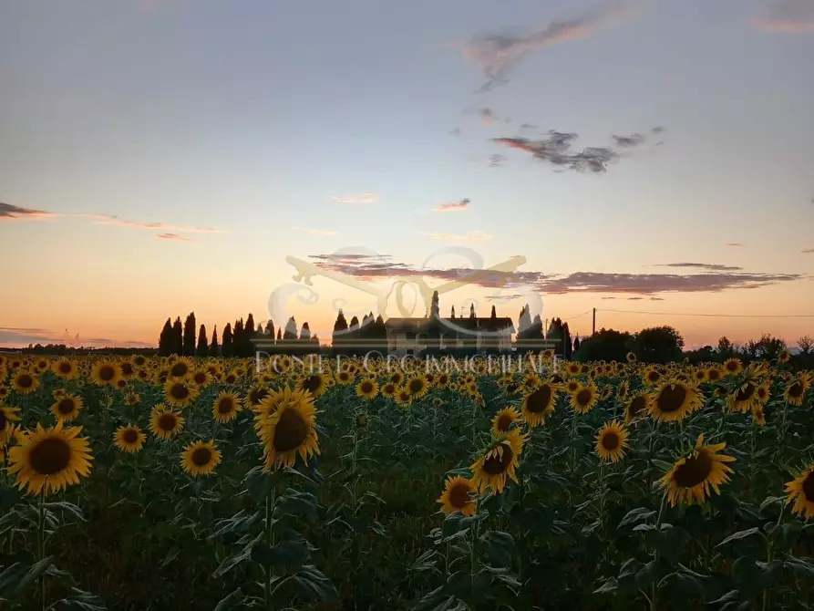 Immagine 30 di Casa bifamiliare in vendita  a Vecchiano