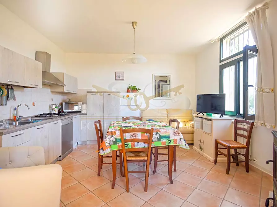 Immagine 22 di Casa bifamiliare in vendita  a Vecchiano