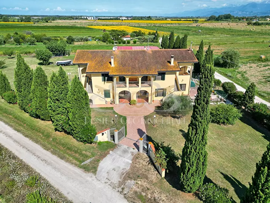Immagine 7 di Casa bifamiliare in vendita  a Vecchiano