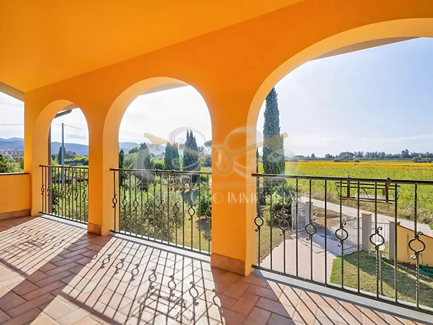 Immagine 12 di Casa bifamiliare in vendita  a Vecchiano