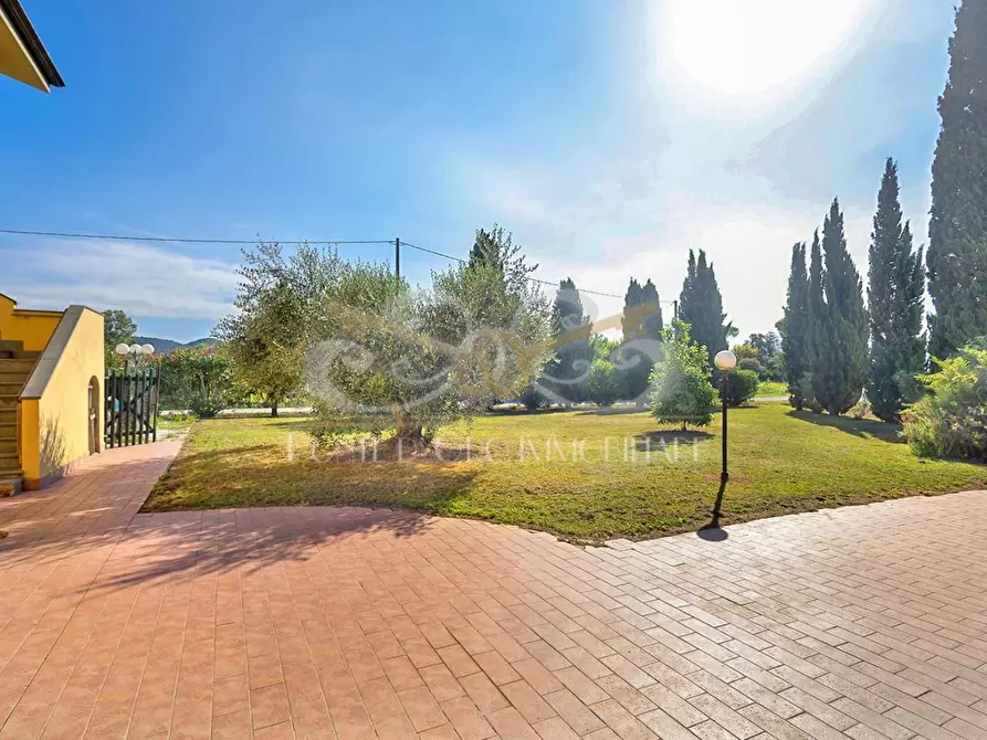 Immagine 11 di Casa bifamiliare in vendita  a Vecchiano