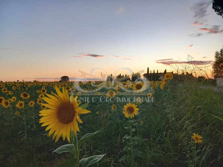 Immagine 29 di Casa bifamiliare in vendita  a Vecchiano