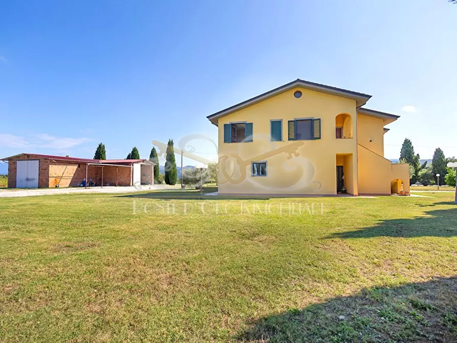 Immagine 10 di Casa bifamiliare in vendita  a Vecchiano