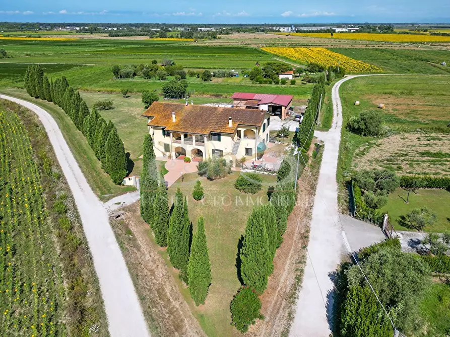 Immagine 6 di Casa bifamiliare in vendita  a Vecchiano