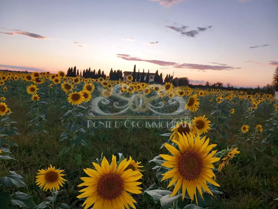 Immagine 27 di Casa bifamiliare in vendita  a Vecchiano