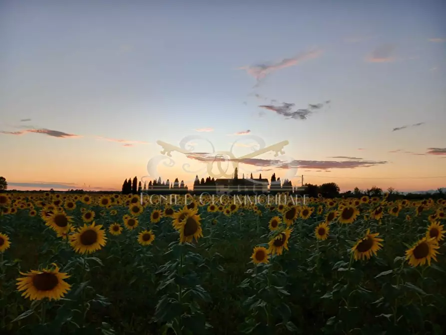 Immagine 26 di Casa bifamiliare in vendita  a Vecchiano