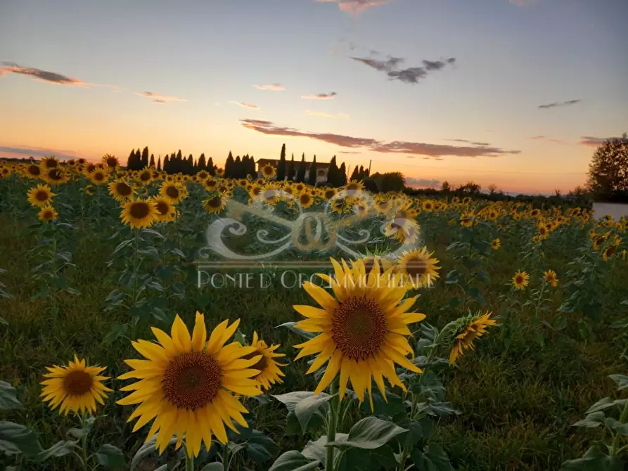 Immagine 25 di Casa bifamiliare in vendita  a Vecchiano