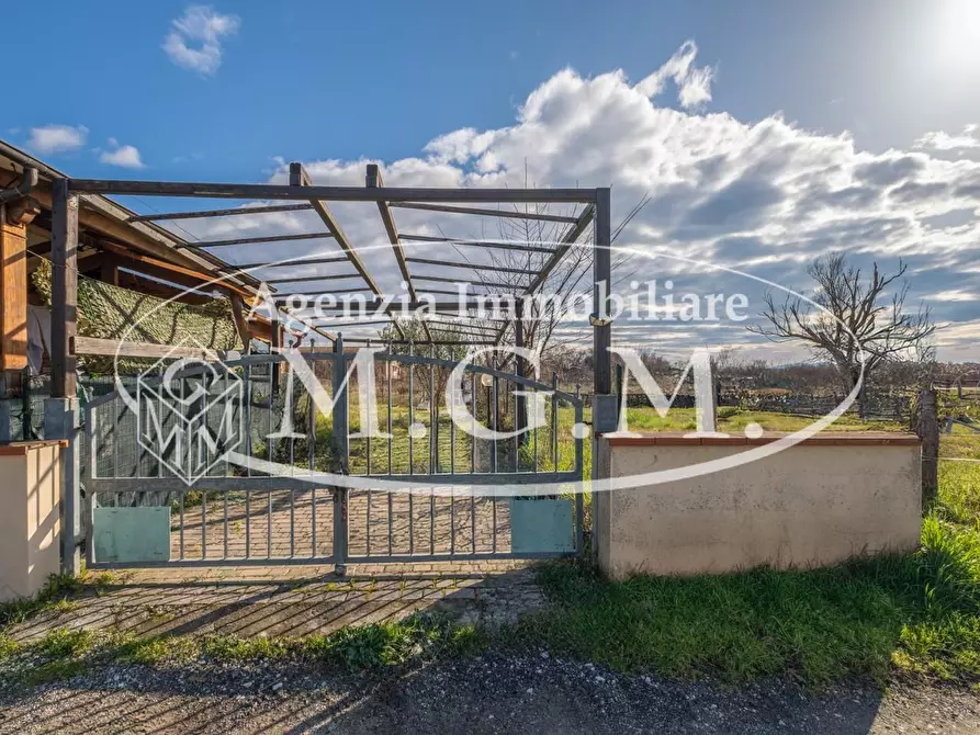 Immagine 20 di Appartamento in vendita  a Vicopisano