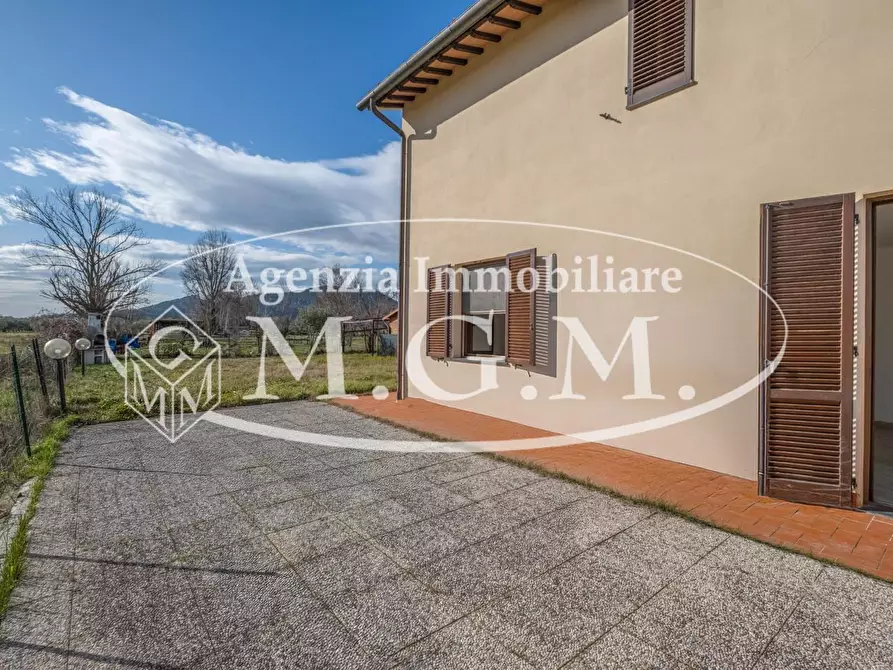 Immagine 16 di Appartamento in vendita  a Vicopisano