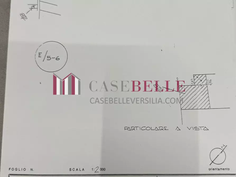 Immagine 12 di Terratetto in vendita  a Camaiore