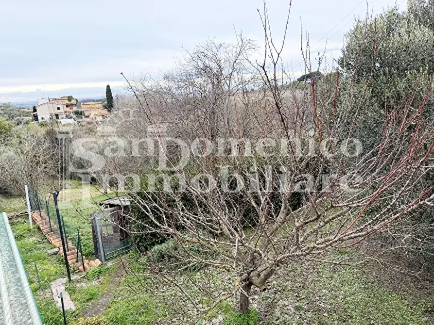 Immagine 21 di Terratetto in vendita  a Crespina Lorenzana