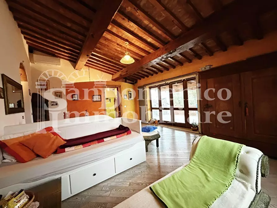 Immagine 12 di Terratetto in vendita  a Crespina Lorenzana